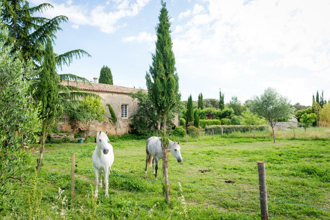 Villevieille Mas De La Rivoire B&B מראה חיצוני תמונה